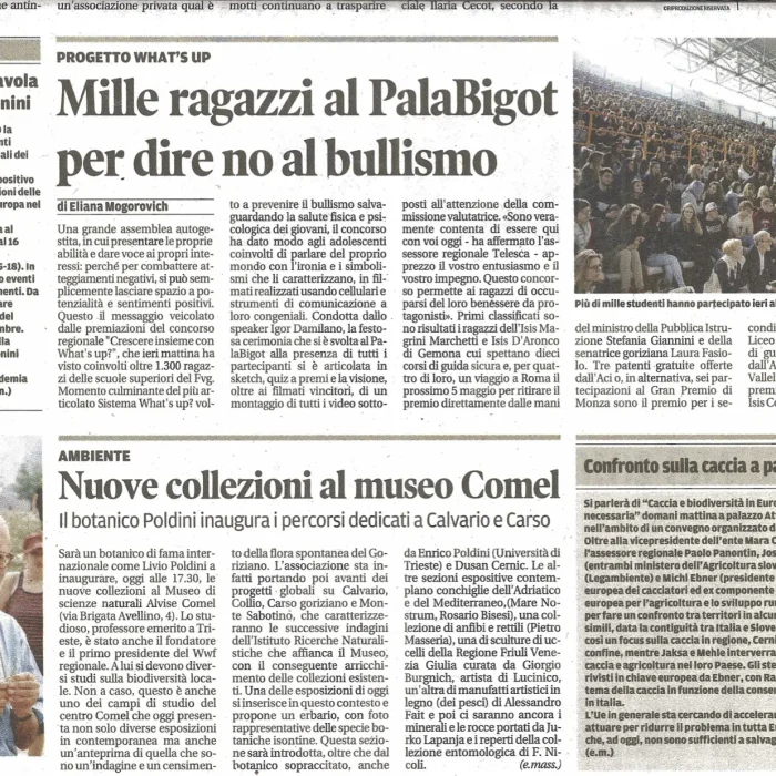 rassegna stampa di igor damilano